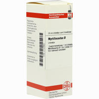 Myrtillocactus Urtinktur Dilution 20 ml - ab 10,36 €