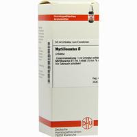 Myrtillocactus Urtinktur Dilution 20 ml - ab 10,36 €