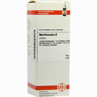 Myrtillocactus Urtinktur Dilution 50 ml