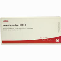 Nervus Ischiadicus Gl D10 Ampullen 10 x 1 ml