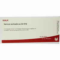 Nervus Ischiadicus Gl D12 Ampullen 10 x 1 ml