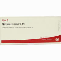 Nervus Peronaeus Gl D6 Ampullen 10 x 1 ml