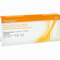 Panalgan Ampullen 10 Stück - ab 12,53 €