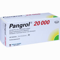 Pangrol 20000 Filmtabletten 100 Stück - ab 9,11 €