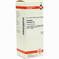 Passiflora Incarnata D6 Dilution 20 ml - ab 7,51 €