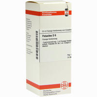 Petasites D6 Dilution 50 ml