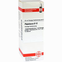 Phytolacca D12 Dilution 20 ml - ab 7,00 €
