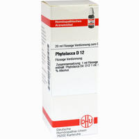 Phytolacca D12 Dilution 20 ml - ab 7,49 €