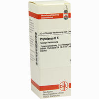 Phytolacca D6 Dilution 20 ml - ab 6,86 €
