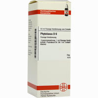 Phytolacca D6 Dilution 20 ml - ab 6,54 €