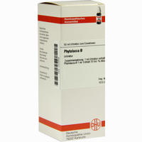 Phytolacca Urt. Dilution 20 ml - ab 8,60 €