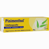 Pinimenthol Erkältungssalbe  100 g - ab 3,30 €