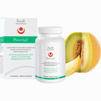 Plantagil Kapseln 120 Stück 
