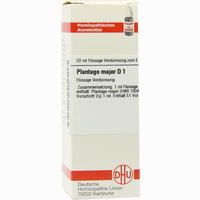 Plantago Major D 1 Dilution 20 ml