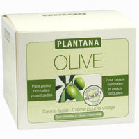 Plantana Olive- Butter Gesichts- Creme 50 ml