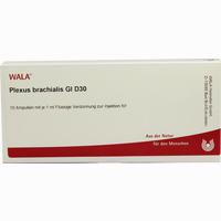 Plexus Brachialis Gl D30 Ampullen 10 x 1 ml