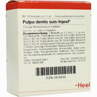 Pulpa Dentis Suis- Injeel Ampullen  10 Stück - ab 19,87 €