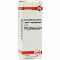 Quercus E Glandibus Urt=d 1 Dilution 20 ml