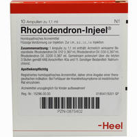 Rhododendron- Injeel Ampullen 10 Stück