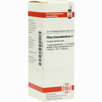 Rhus Toxicodendron C12 Dilution 20 ml