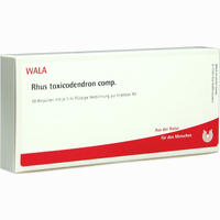 Rhus Toxicodendron Comp Ampullen 10 x 1 ml