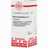 Rhus Toxicodendron D12 Globuli Dhu-arzneimittel 10 g