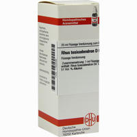 Rhus Toxicodendron D6 Dilution 20 ml - ab 6,31 €