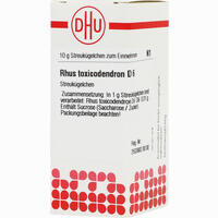 Rhus Toxicodendron D6 Globuli Dhu-arzneimittel 10 g