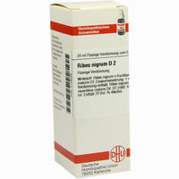 Ribes Nigrum D2 Dilution 20 ml - ab 8,10 €