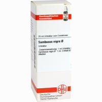 Sambucus Nigra Urtinktur Dilution 20 ml - ab 10,47 €