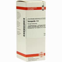 Sarsaparilla D4 Dilution 20 ml - ab 11,70 €