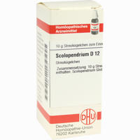 Scolopendrium D12 Globuli 10 g