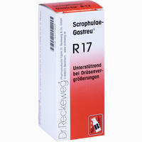 Scrophulae- Gastreu R17 Tropfen 22 ml - ab 6,40 €