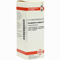 Scrophularia Nodos D3 Dilution 20 ml
