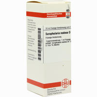 Scrophularia Nodos D6 Dilution 20 ml