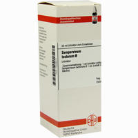 Sempervivum Tect Urtinktur Dilution 20 ml - ab 9,37 €