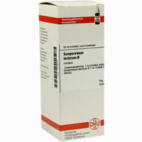 Sempervivum Tect Urtinktur Dilution 50 ml