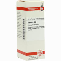 Senega D6 Dilution 20 ml
