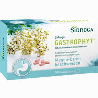 Sidroga Gastrophyt 250 Mg Filmtabletten 30 Stück - ab 5,04 €