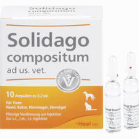 Solidago Compositum Ad Us. Vet. Ampullen 10 Stück - ab 19,71 €