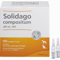 Solidago Compositum Ad Us. Vet. Ampullen 10 Stück - ab 19,71 €