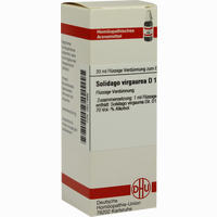 Solidago Virga D 1 Dilution 20 ml - ab 7,60 €