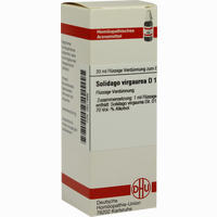 Solidago Virga D 1 Dilution 20 ml - ab 8,10 €