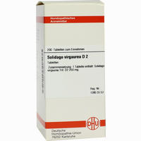 Solidago Virga D2 Tabletten 80 Stück - ab 7,10 €