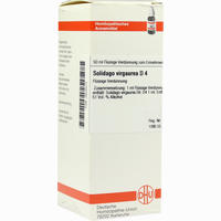 Solidago Virga D4 Dilution 20 ml - ab 7,60 €