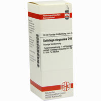 Solidago Virga D6 Dilution 20 ml - ab 7,60 €