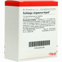 Solidago Virgaurea- Injeel Ampullen 10 Stück - ab 16,90 €