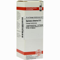 Spiraea Ulmar D3 Dilution 20 ml