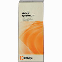 Synergon Kompl Apis N 11 Tropfen 20 ml