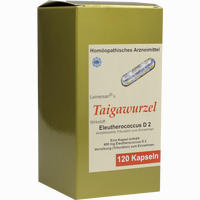 Taigawurzel 120 Stück